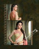 Sarees - Net and Chiffon with Pink And Golden - Boutique4India Inc.